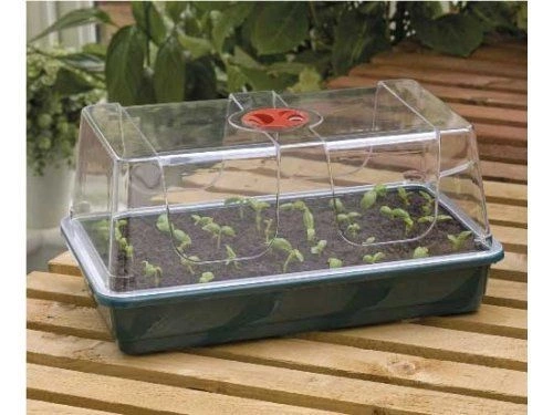 Garland propagator z wentylacją 37,5x23xh18cm pokrywa + taca