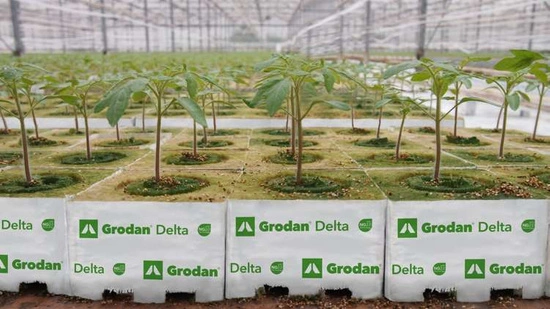 Mineral wool cube 15x10x6.5 cm Grodan with hole 27mm