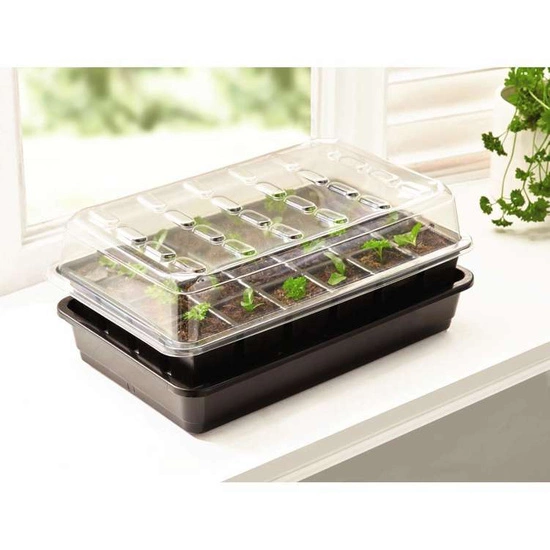 Self-watering garland propagator 37.5 x 23 x h16 cm