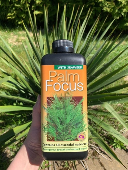 Growth Technology Palm Focus Nutrient for Palm 300ml