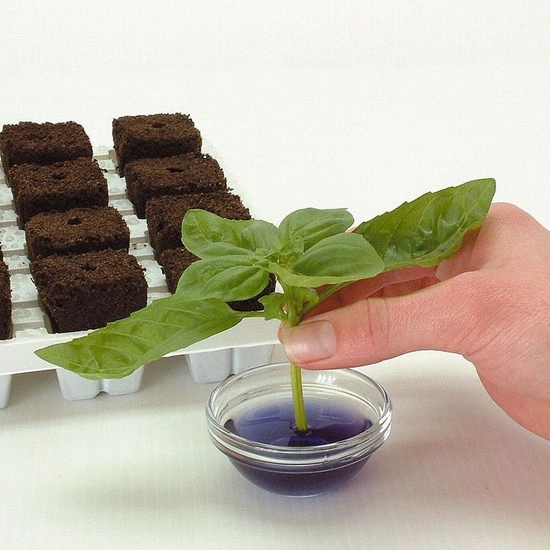Growth Technology Root Riot Tray 77 - kostki gąbki torfowe do sadzonek / klonów taca 77szt