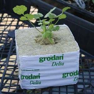 Grodan Delta wool square cube 10x10x6.5 cm fi 27mm