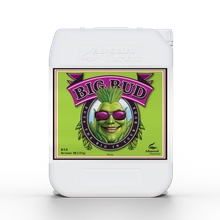 Advanced Nutrients BIG BUD 10L | stymulator kwitnienia