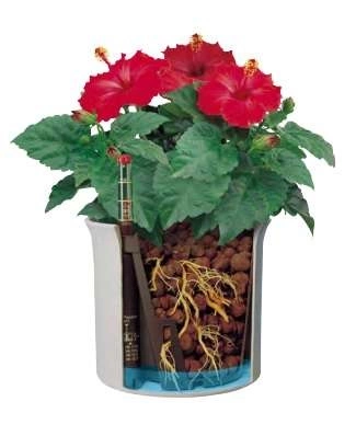 LENI hydroponics set 15/19 white cover pot corona + hydro pot + h19 water indicator