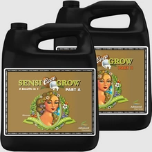 Advanced Nutrients Sensi Grow Coco part A/B 2x4L