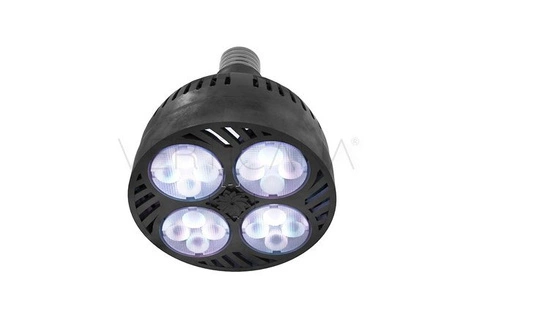 VERTICANA® Bulb 35W | BLACK | 15° lens 