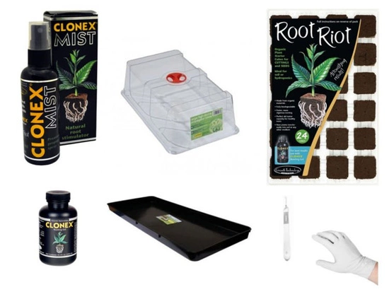 Cloning kit with Garland propagator - 24 clones