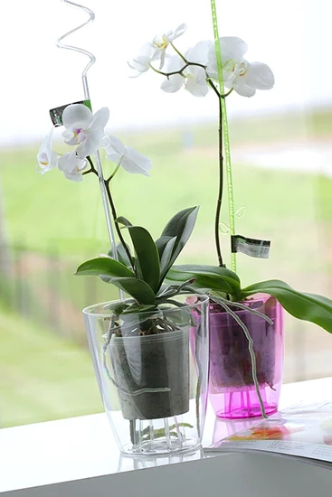 Zestaw Coubi Orchid 1,5L + wkład - Doniczka okrągła przezroczysta do orchidei / storczyków fi 13,2cm