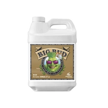 Advanced Nutrients BIG BUD COCO 250ml | stymulator kwitnienia