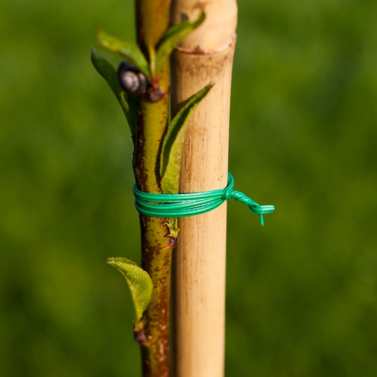 Horticultural wire 50m organic garden