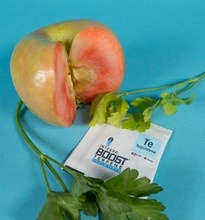 regulator wilgoci Integra Boost Terpene Essentials 4G 62% Terpinolene