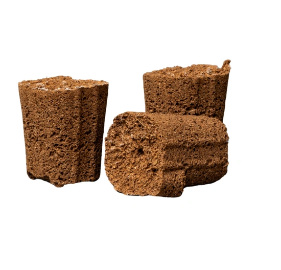 Canna Rootplugs – Propagation Tray with inserts for Sowing, Germinating & Cloning Plants | 77 pcs