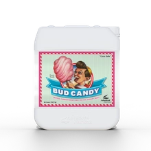 Advanced Nutrients BUD CANDY 5L | silny magnez