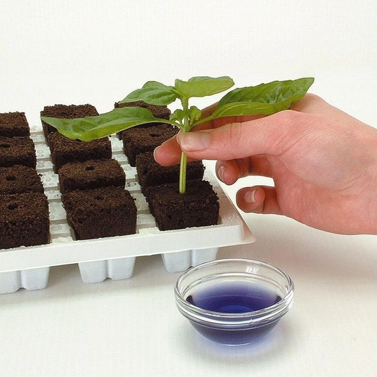Growth Technology Root Riot Tray 77 - kostki gąbki torfowe do sadzonek / klonów taca 77szt