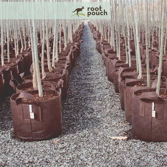 Growbag Root Pouch fabric pot 25,5x21,5cm 12L brown 750 units