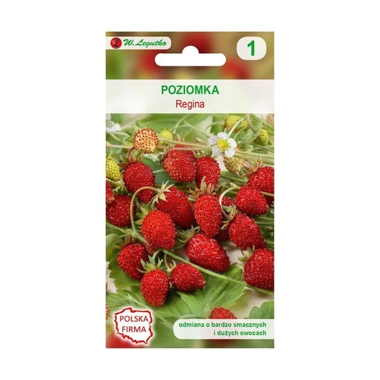 Wild strawberry - Fragaria vesca 'Regina' seeds 0.10g