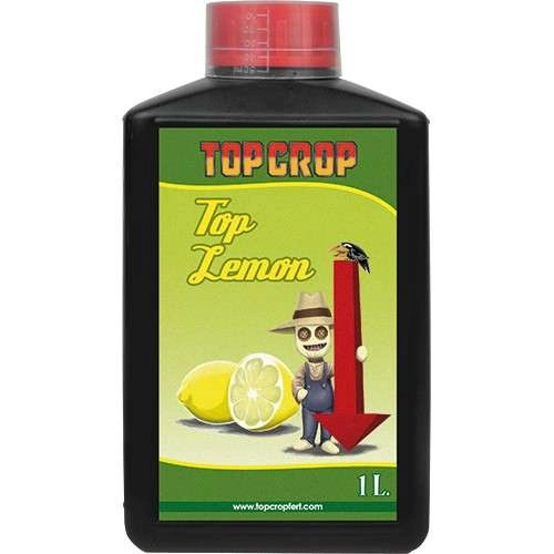 Top Crop Top Lemon ph- 1l