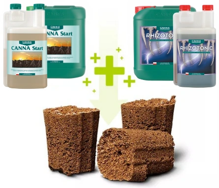 Canna Rootplugs – taca z wkładami do wysiewu, kiełkowania i klonowania roślin 77 szt