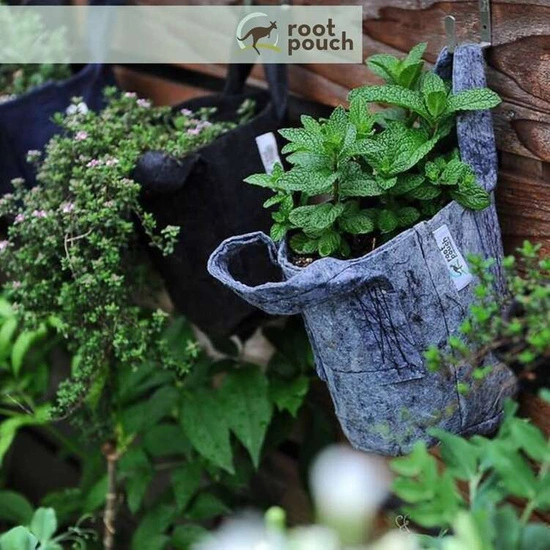 Growbag Root Pouch fabric pot 25,5x21,5cm 12L grey