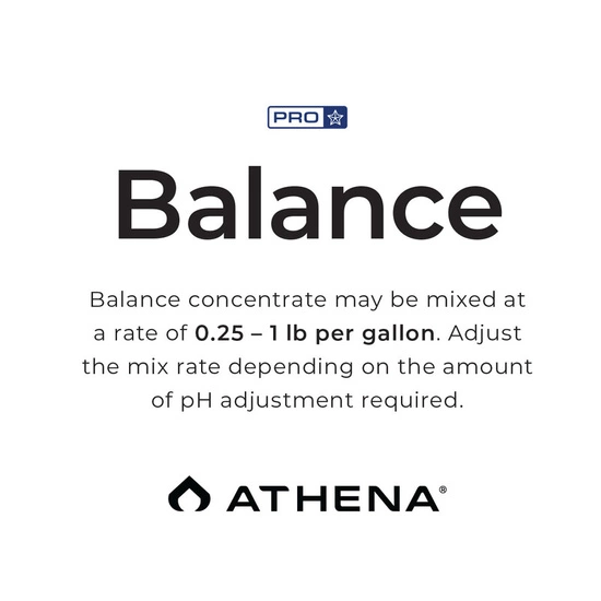 Athena Balance 944 ml - pH regulator and stabilizer (Blended)