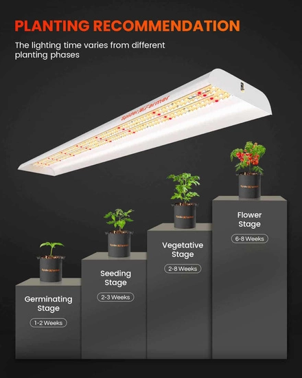 Spider farmer SF600 74W Osram - for clones & seedlings