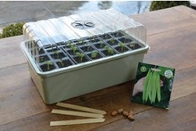Propagator Garland z wkładem o wysokości 12cn do ukorzeniania małych roślin 38x23xh20cm