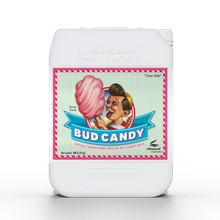 Advanced Nutrients BUD CANDY 10L | silny magnez