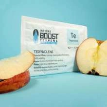 regulator wilgoci Integra Boost Terpene Essentials 67G 62% Terpinolene