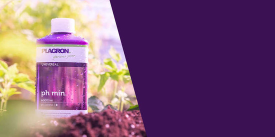 Plagron pH minus 500ml | Do obniżenia ph